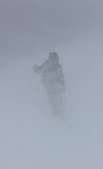 Skier in near white out conditions on Lembert Dome on February 9, 2019.