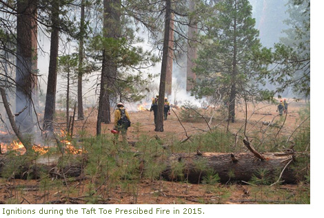 Ignitions during the Taft Toe prescribed fire in 2015 in Yosemite Valley.