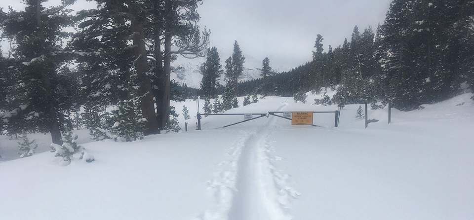 Gate closed at Tioga Pass with ski tracks and snow on March 20, 2020.