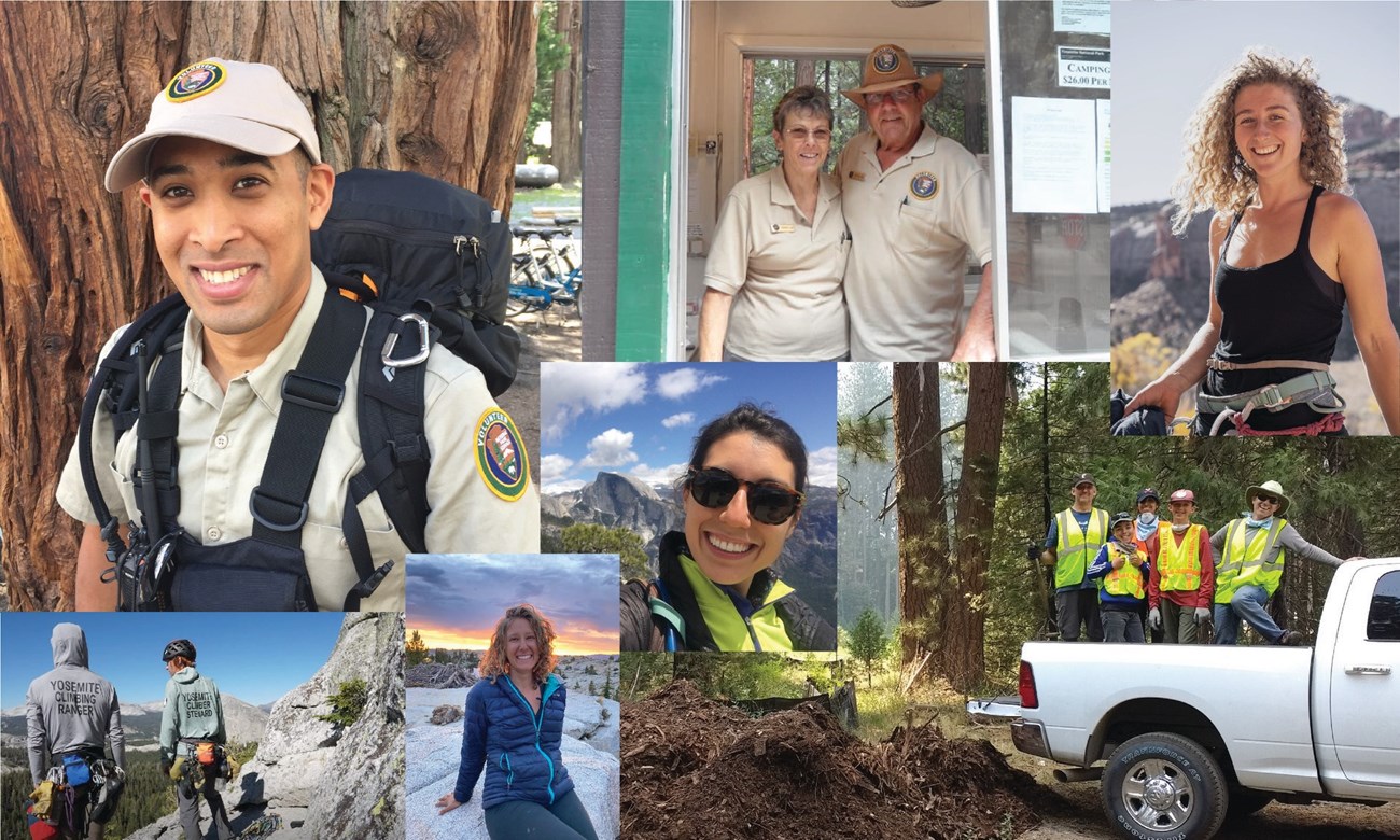 Multiple photos of volunteers at work in 2020.