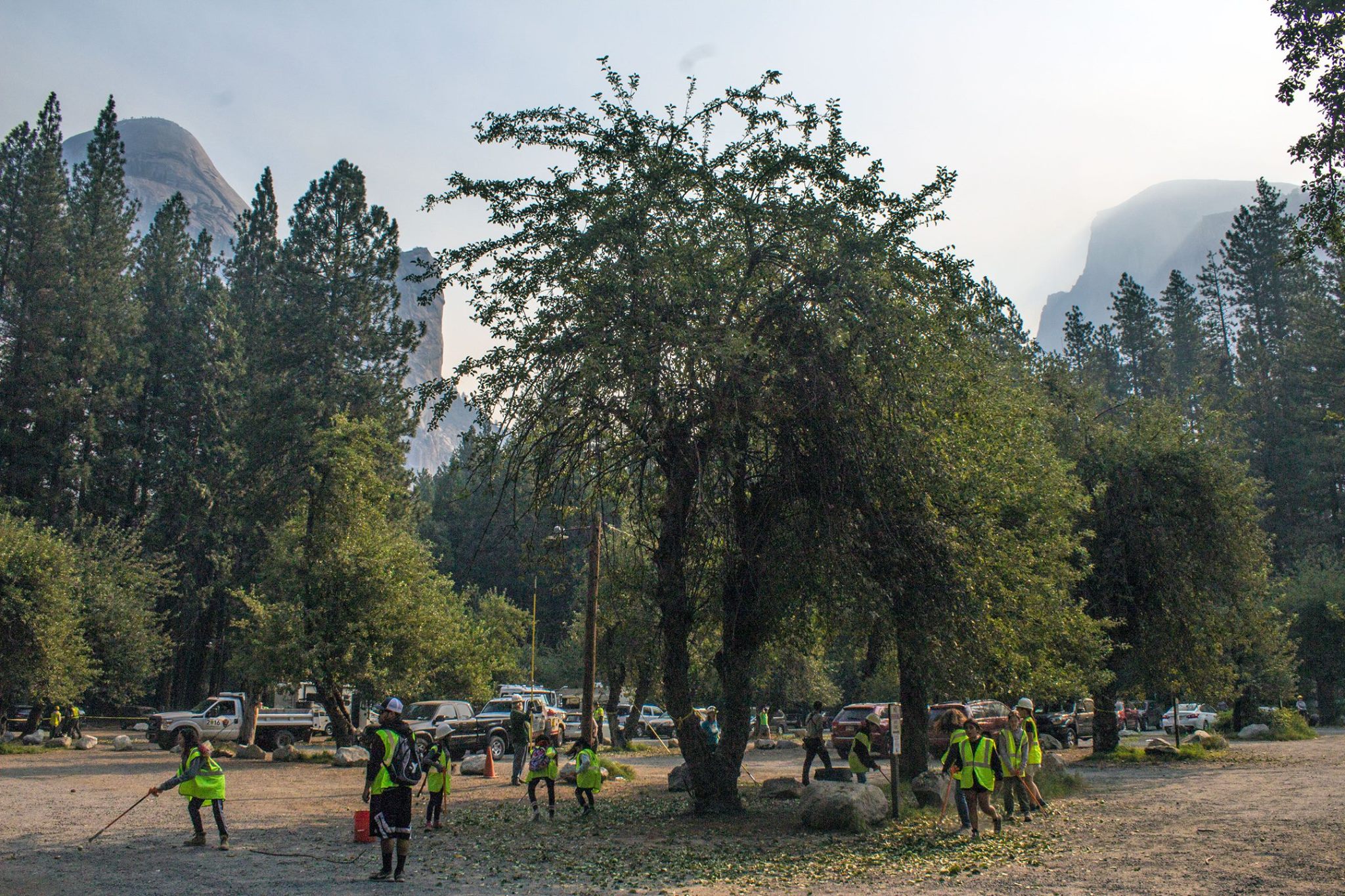Volunteers picking up apples in the Curry Village Parking Area apple picking day in 2017.