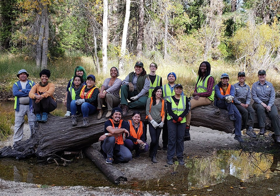Group Volunteering Yosemite National Park (U.S. National Park Service)