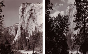 Two views of El Capitan to show the landscape before and after thinning