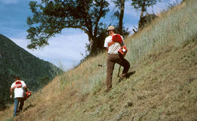Men stand on hillside with mowing machines