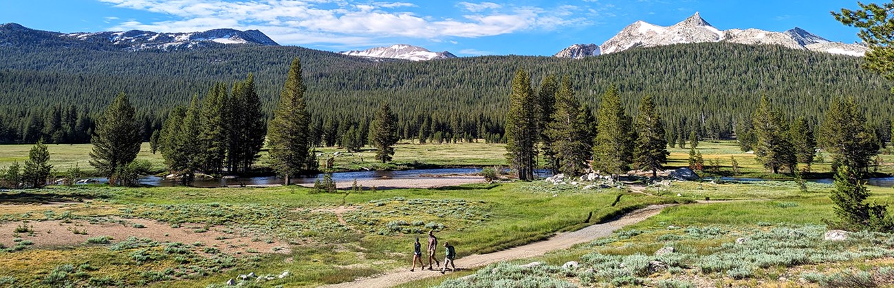 Hikers follow a trail through Tuolumne Meadows, with the river and Cathedral Peaks behind them