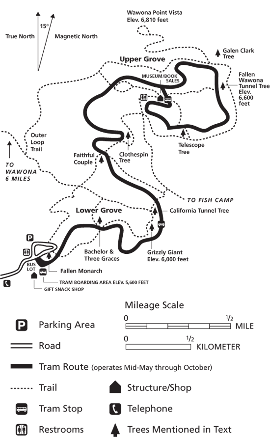 Map of the Mariposa Grove