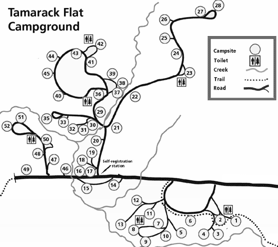 Map of Tamarack Flat Campground