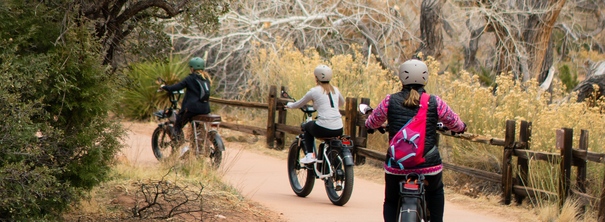 Three bikers ride along a paved trail past grasses and shrubs.