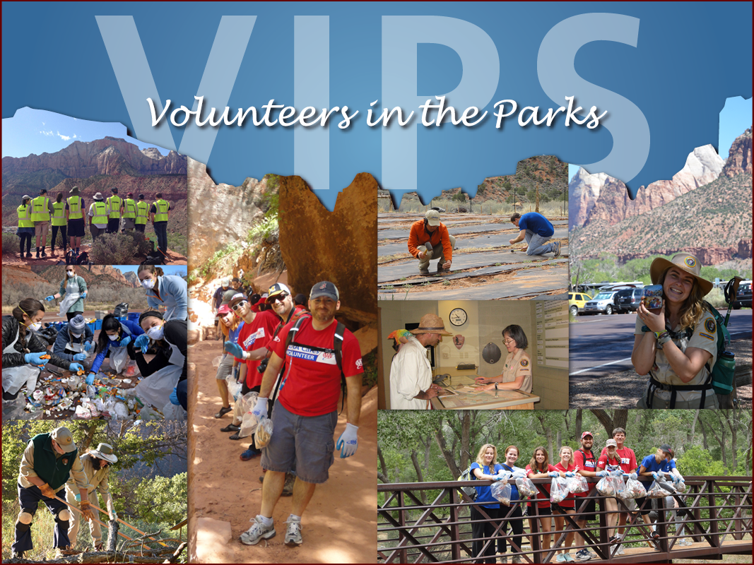 Volunteers serving the public and the park on trails, with visitors, and by doing conservation work.