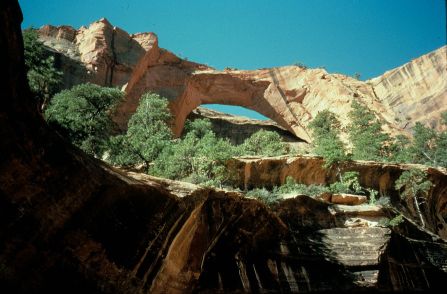 Kolob Arch