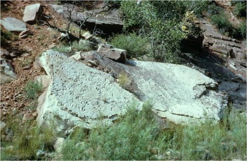 Subway Track Site