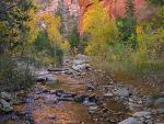 11. La Verkin Creek in Autumn