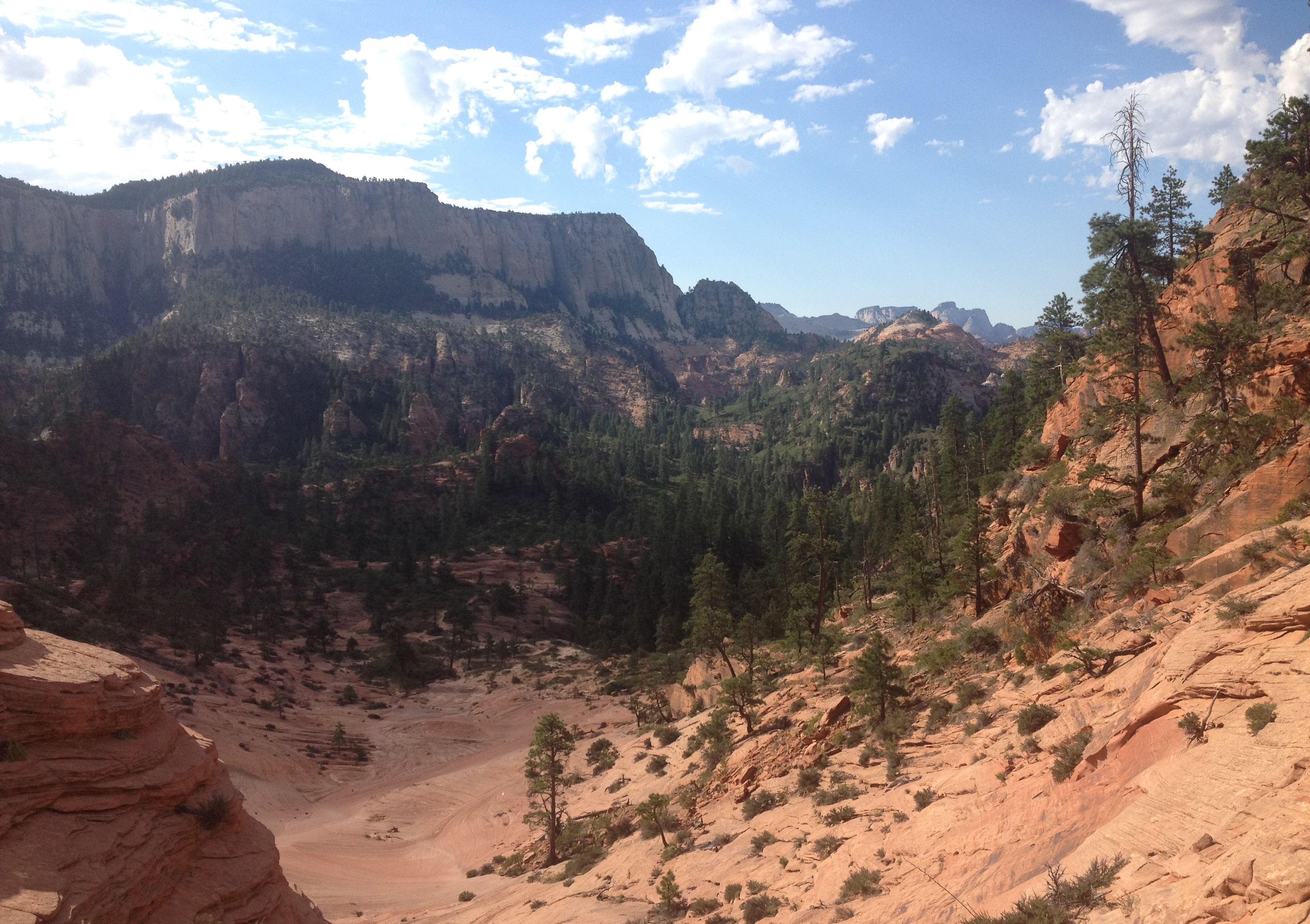 A steep sandstone slickrock surface extends down into a canyon with steep rock walls and brush