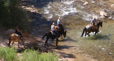 Several horses with riders near a wilderness stream