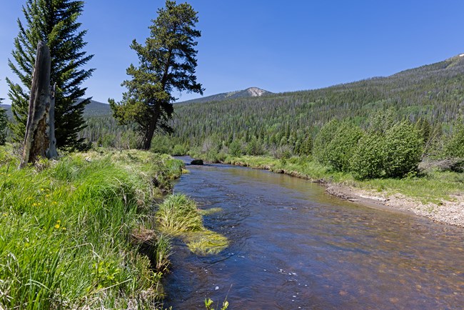 Views of the Colorado River in June Views of the Colorado River in June