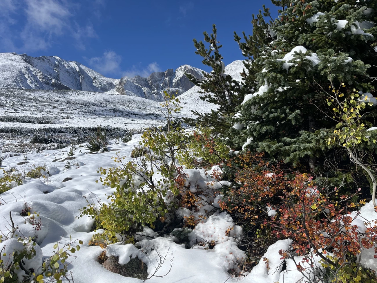 Snow on the Chasm Lake Trail, Sept 24 2025 Snow on the Chasm Lake Trail, Sept 24 2025