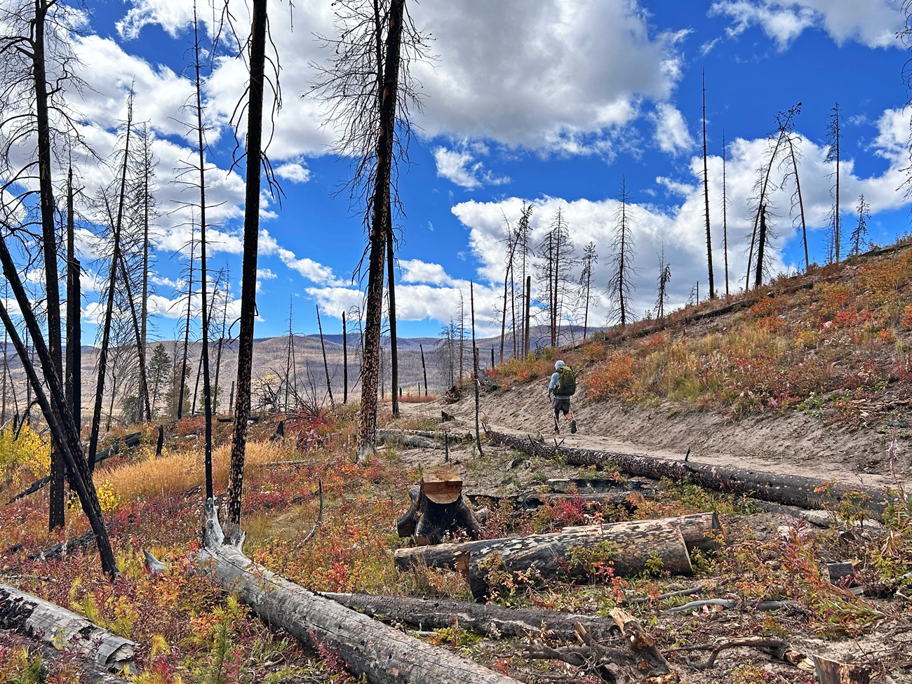 Park visitor is hiking on the Green Mountain Trail in September Park visitor is hiking on the Green Mountain Trail in September