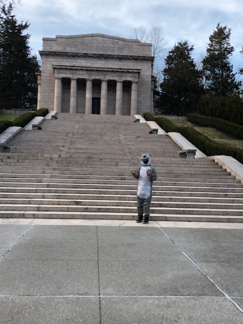 person in a squirrel costume 