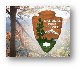 NPS Logo Tree Background