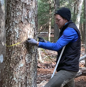 Young man wearing gloves and a dark winter cap threads a yellow tape measure around the diameter of a tree