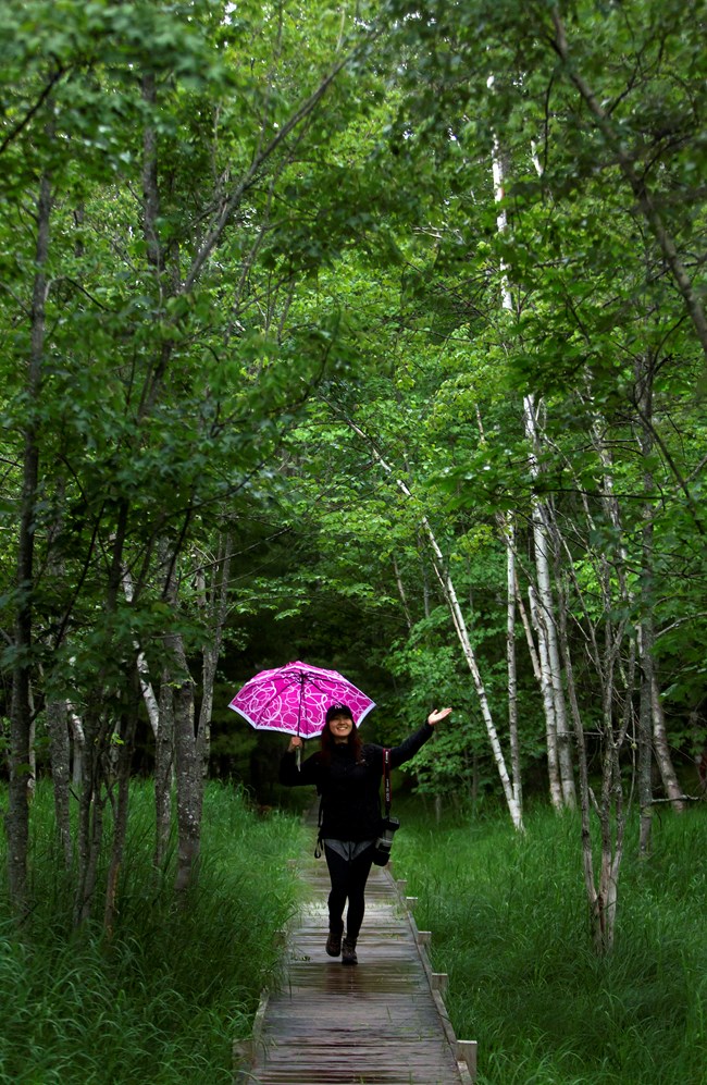 Woman holding a pink umbrella walks on a wooden boardwalk under a high canopy of tree branches