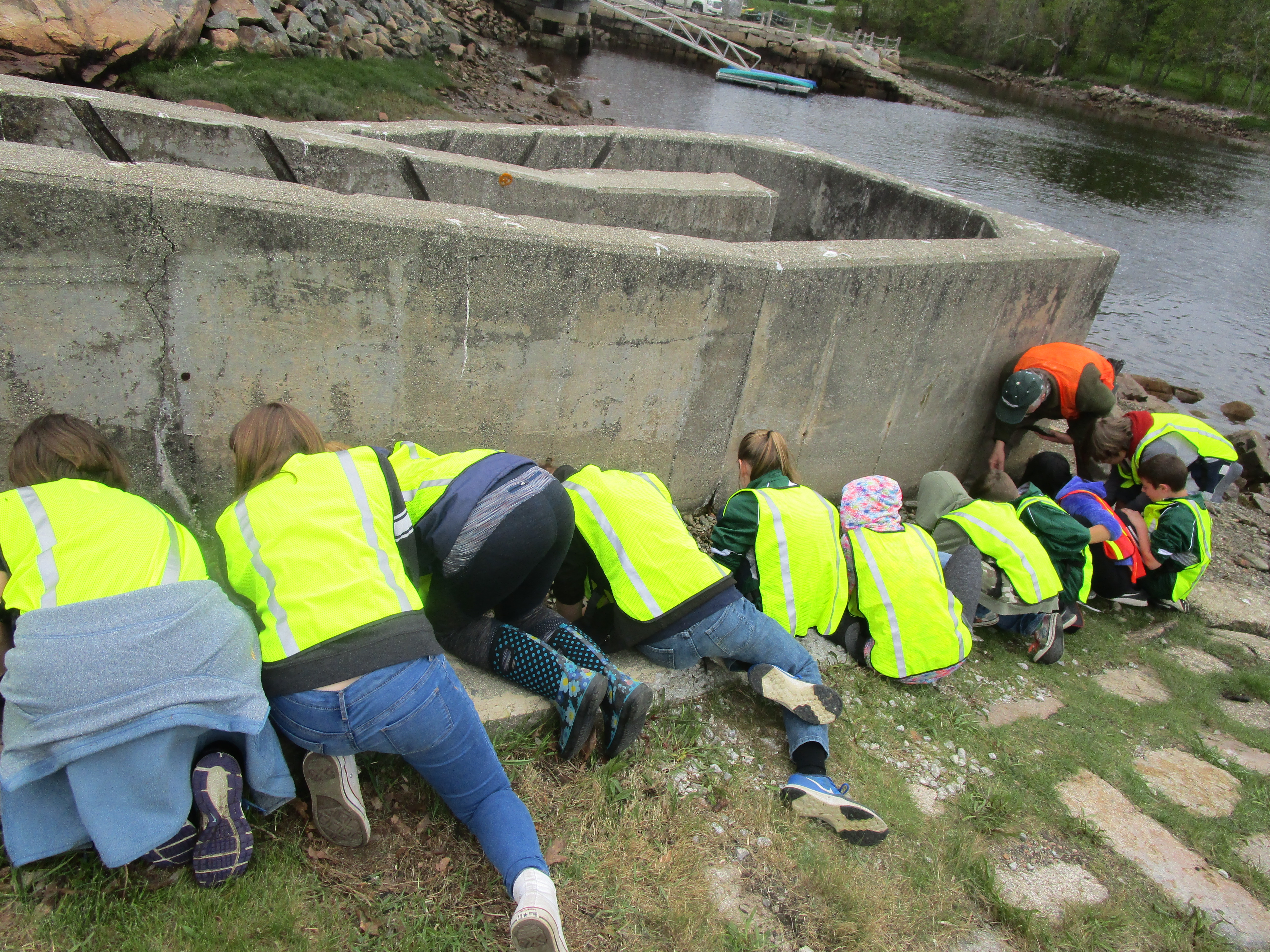 Students squatting around fish ladder