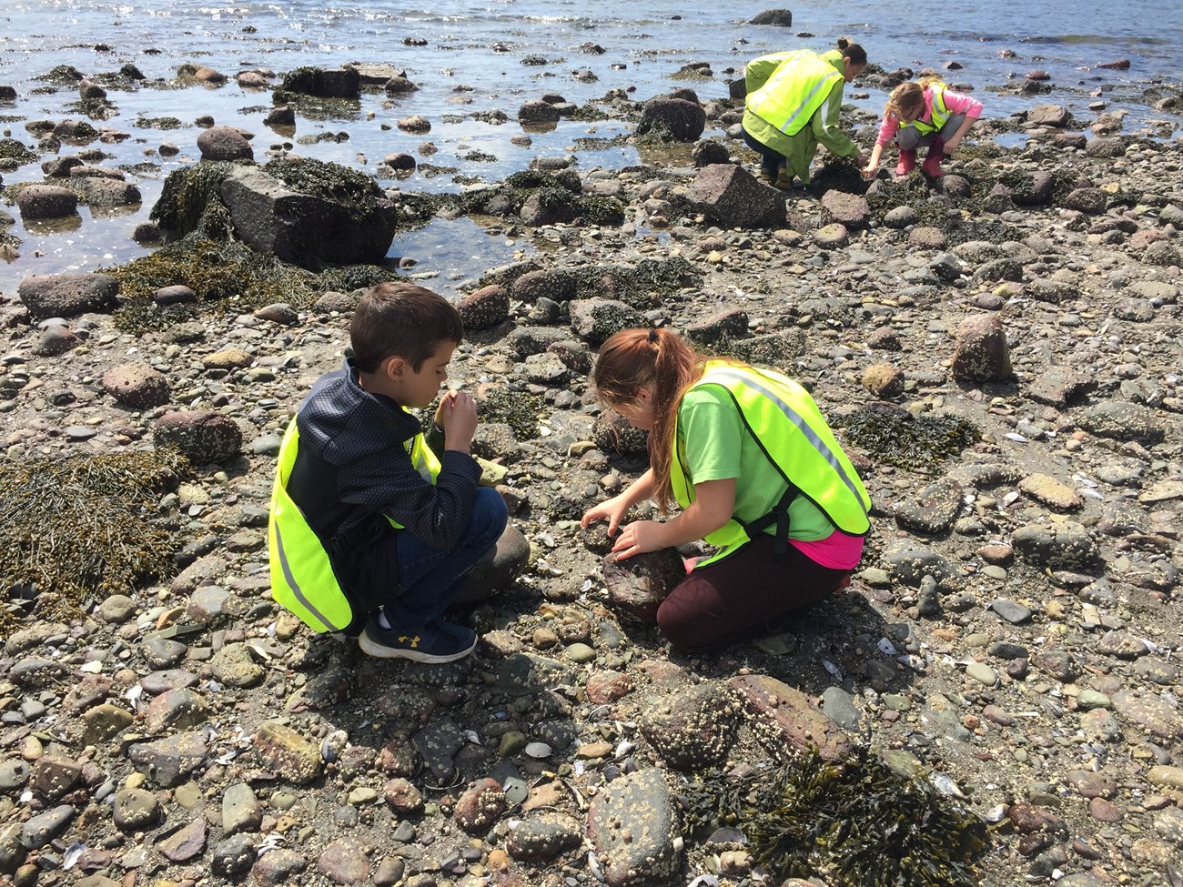 2 students squatting by a tidepool in Acadia National Park