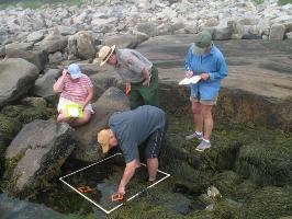 Teachers inspecting tidepools and taking notes while a ranger looks on.