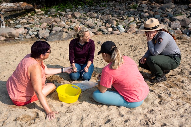 three teachers sit on a beach looking at different sea shells as a ranger overlooks them