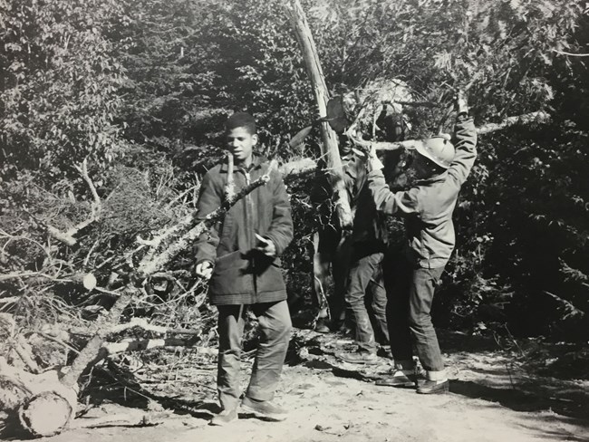 a young black man clears a tree and two men work behind him to clear brush pile