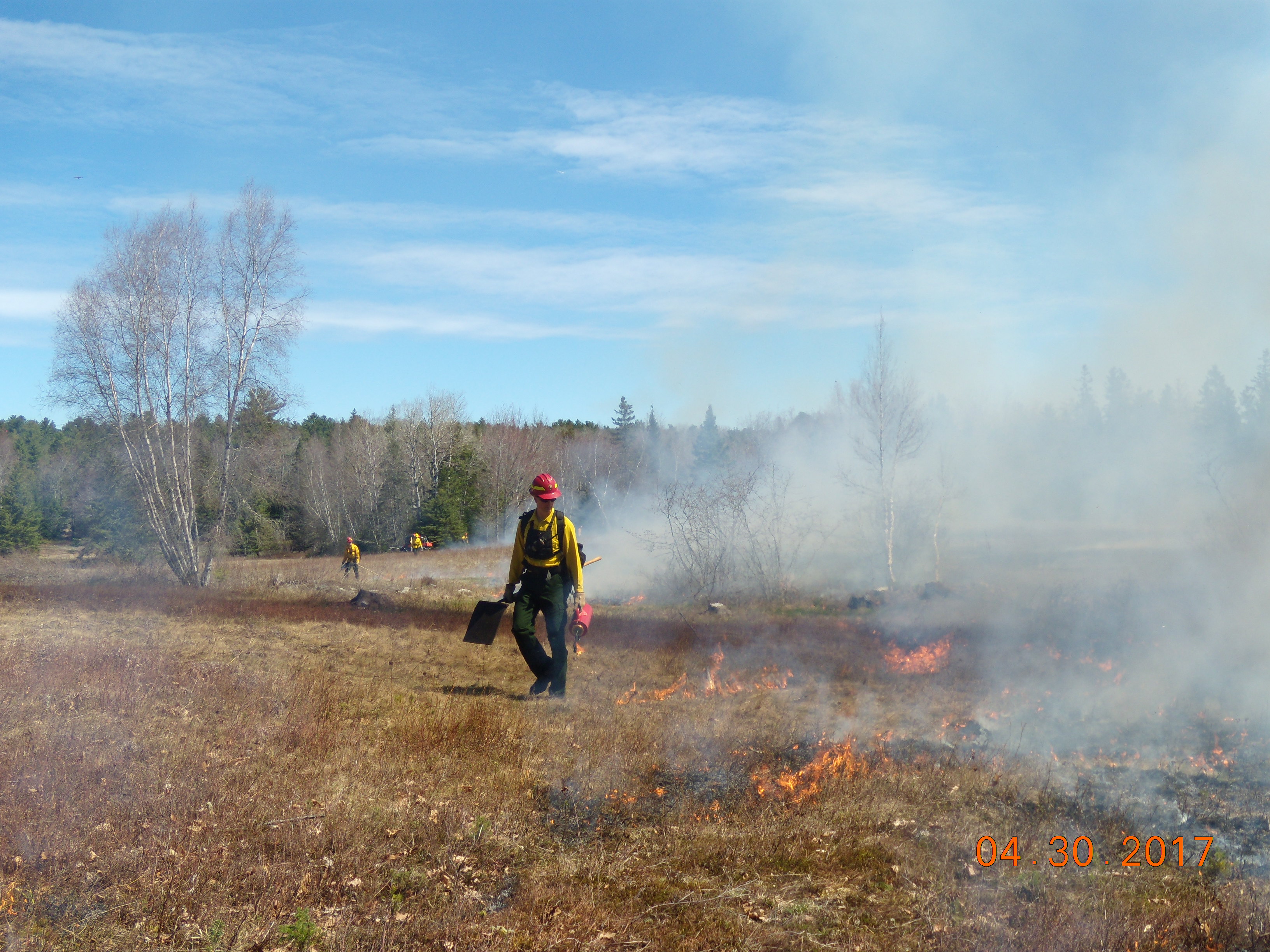 Park rangers work on a prescribed burn in Acadia National Park