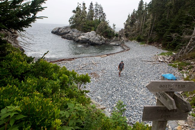 Person standing on a rocky coast near trail signs
