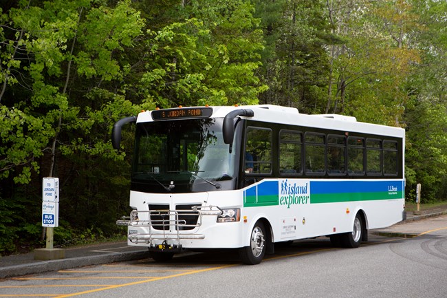 Large white bus with blue and green stripes and lettering is parked along a curb in front of dense green shrubbery.