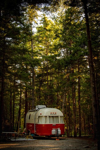Vintage red and white camper parked within tall trees