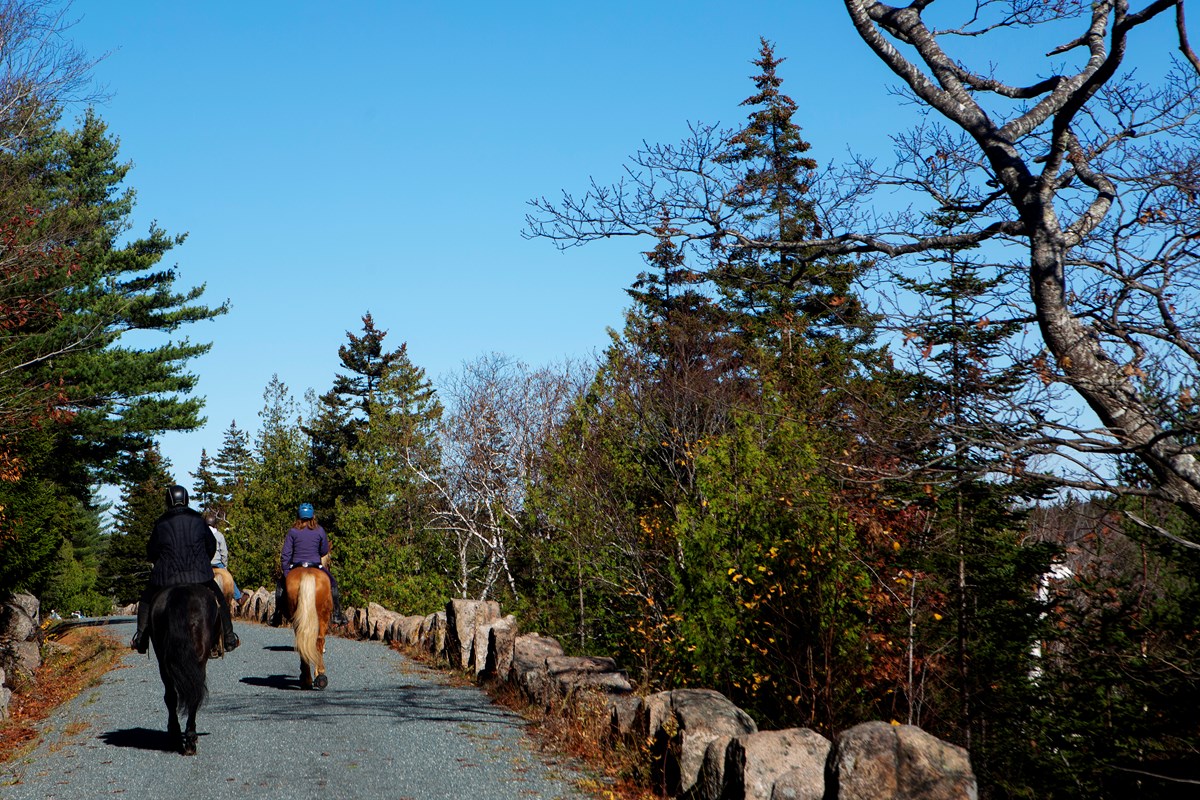Horseback Riding Acadia National Park (U.S. National Park Service)