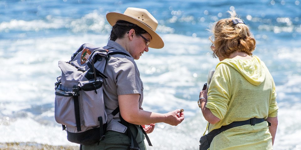 Ranger holds a tide pool creature in conversation with visitor