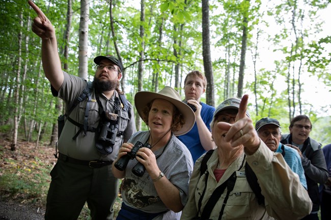 A ranger points out a bird to an audience on a trail