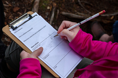 Clipboard with worksheet about sediment being completed by child