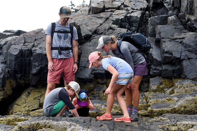 Two adults and three children look into a tidepool on rocks covered in lichen