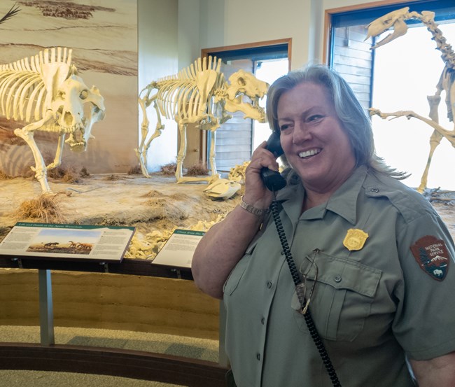 Female ranger on telephone in front of fossil display