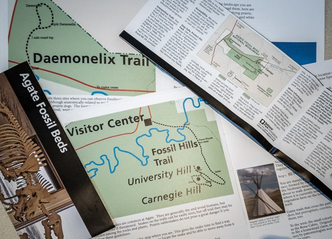 Two trail guides and a park brochure map scattered across a countertop