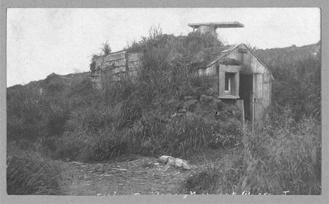 a house with a single window and a grassy roof sits halfway sunken into the ground.