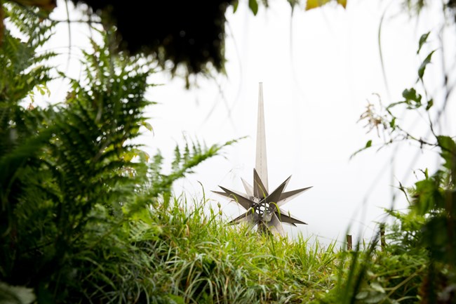 a silver memorial statue in the shape of a star with many points stands tall amid thick grasses.