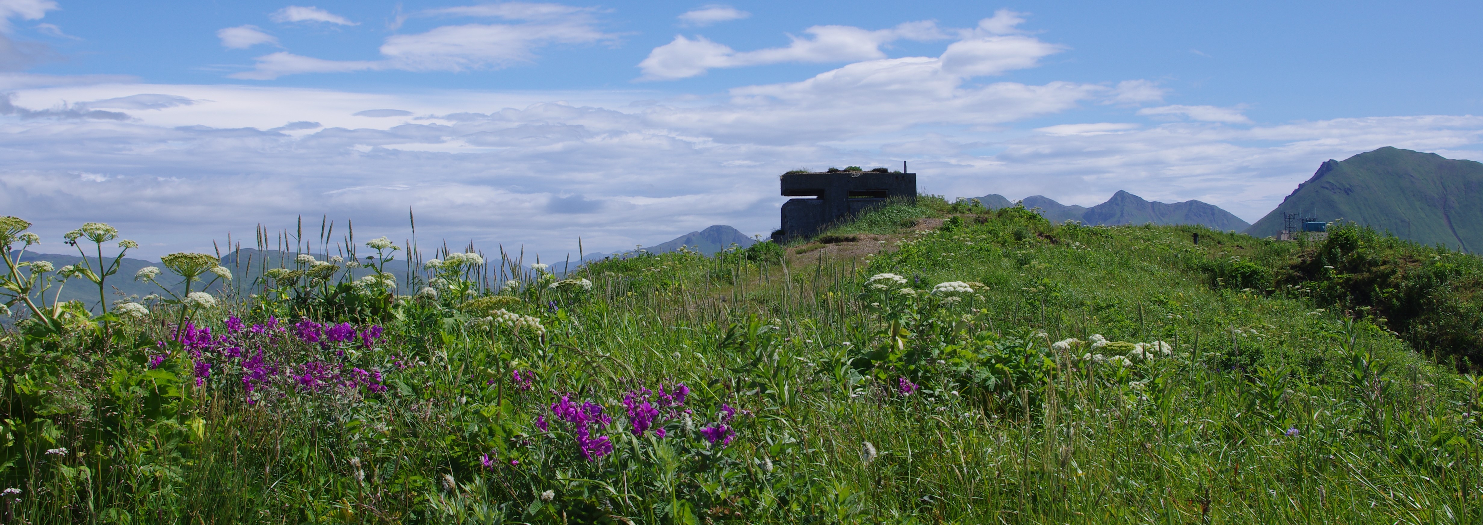 a cement structure sits atop a mountain with pink wildflowers in the foreground and an expansive coastal mountain range in the background.