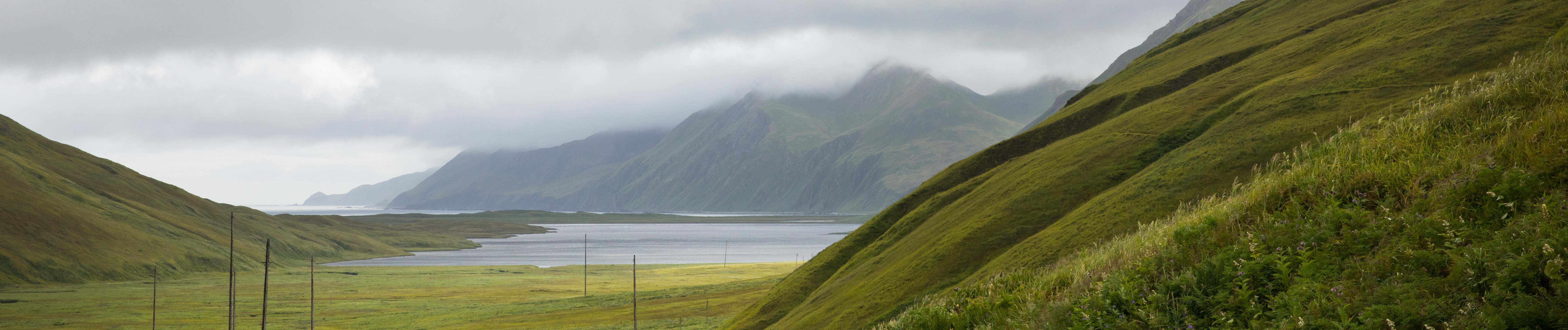thick fog rolls over the top of grassy green mountains which meet a coastal harbor at their base.