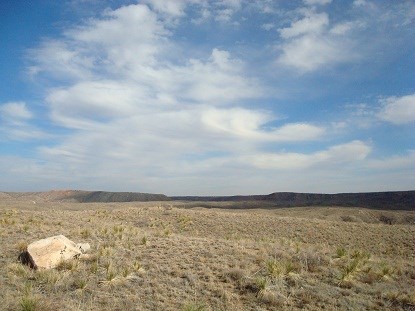 The Comanches ruled the Llano Estacado until buffalo hunters decimated bison populations.