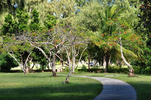 American Memorial Park Scenic Pathway