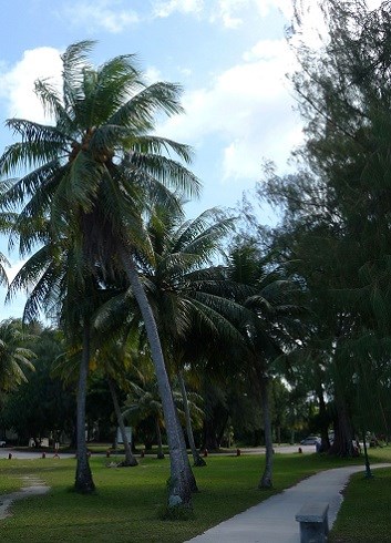 American Memorial Park Scenic Pathway