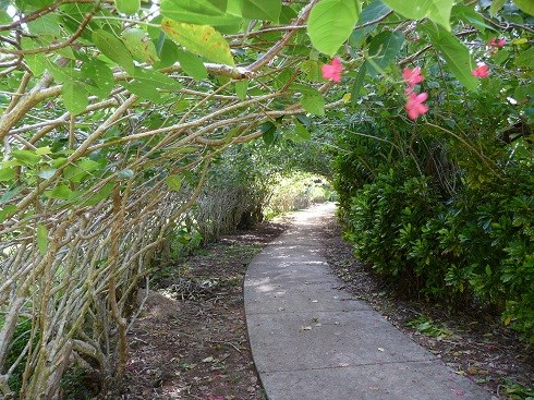 American Memorial Park Scenic Pathway