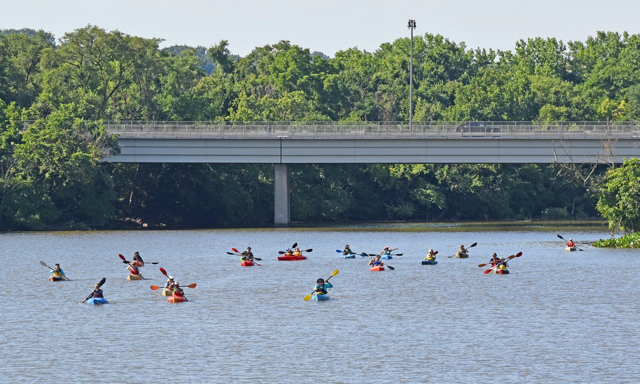 Kayakers paddle down the Anacostia River. Trees and a bridge are in the background.